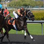race sport gambling